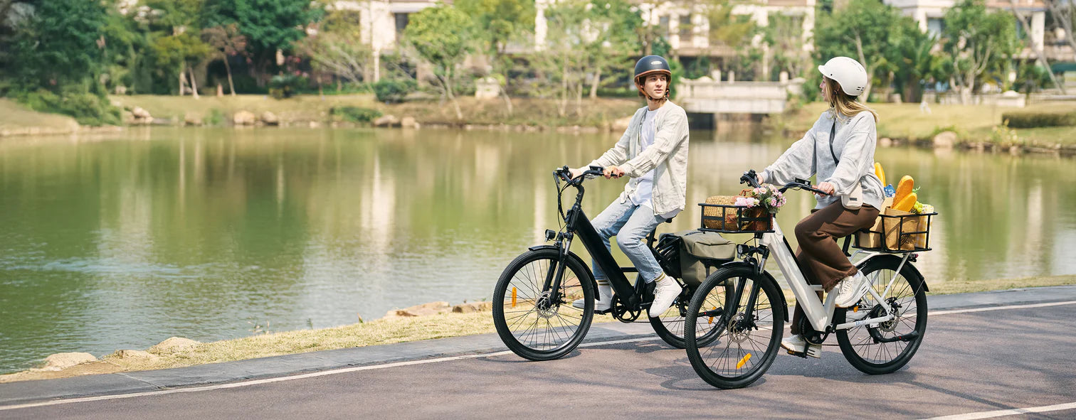 Trailblazer Mountain E-Bikes