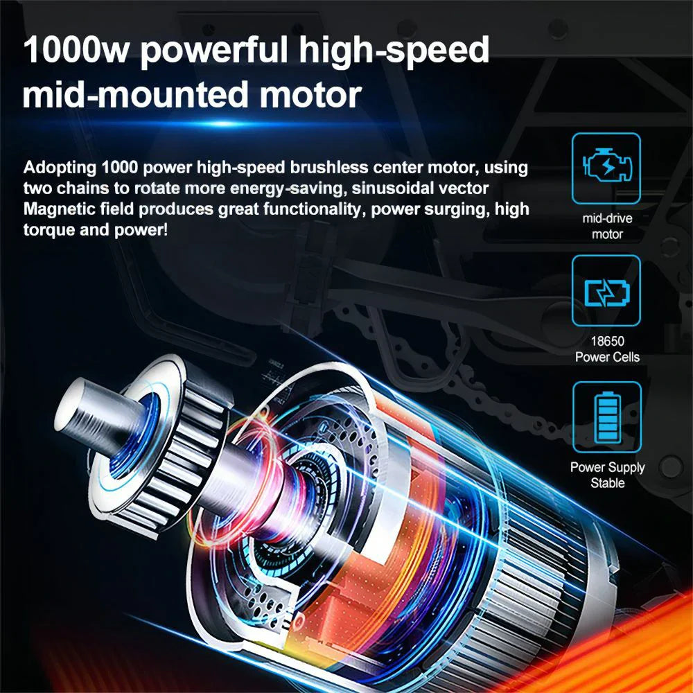 NEXXBIKE X5 Plus 20" Fat Tires Electric Dirt Bike 1000W Motor 48V 25Ah Samsung Battery With NFC Key