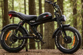 dual motor moped style ebike