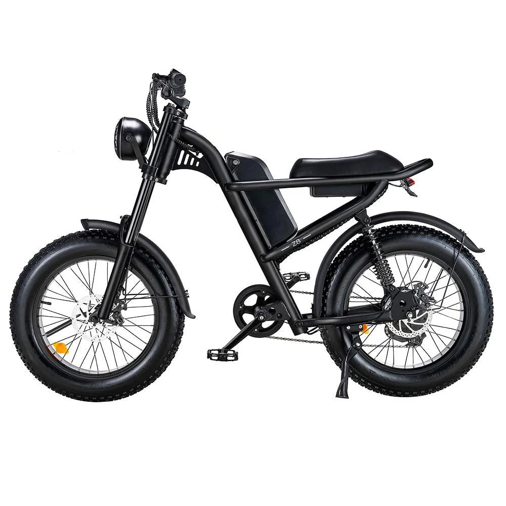 RIDING'TIMES 20" Fat Tires All-Terrain Electric Bike 500W Motor 48V 15Ah Battery