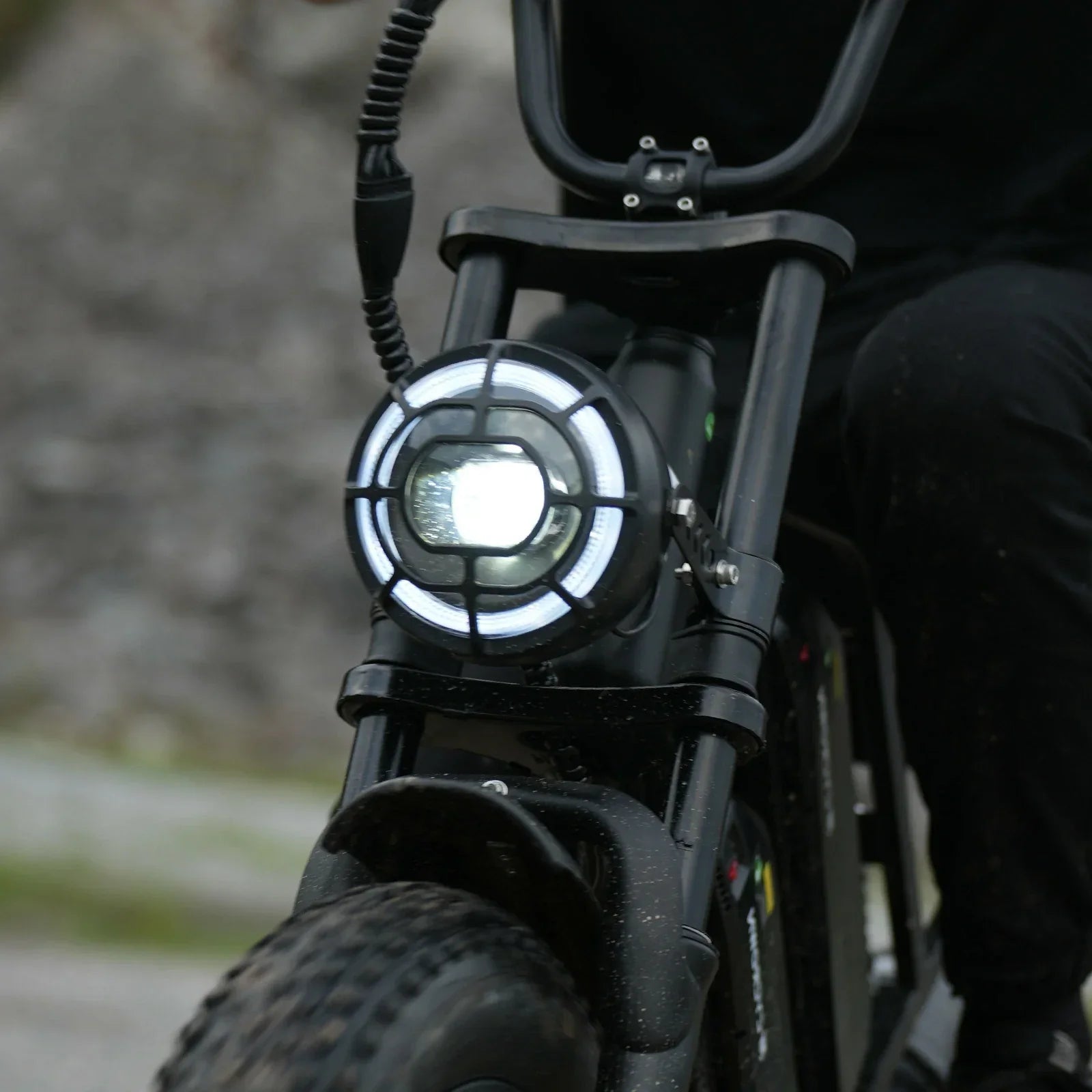 CYCROWN Hunter 20" Retro Fat Tire Electric Dirt Bike 750W (1000W Peak) Motor 48V 26Ah Dual Batteries