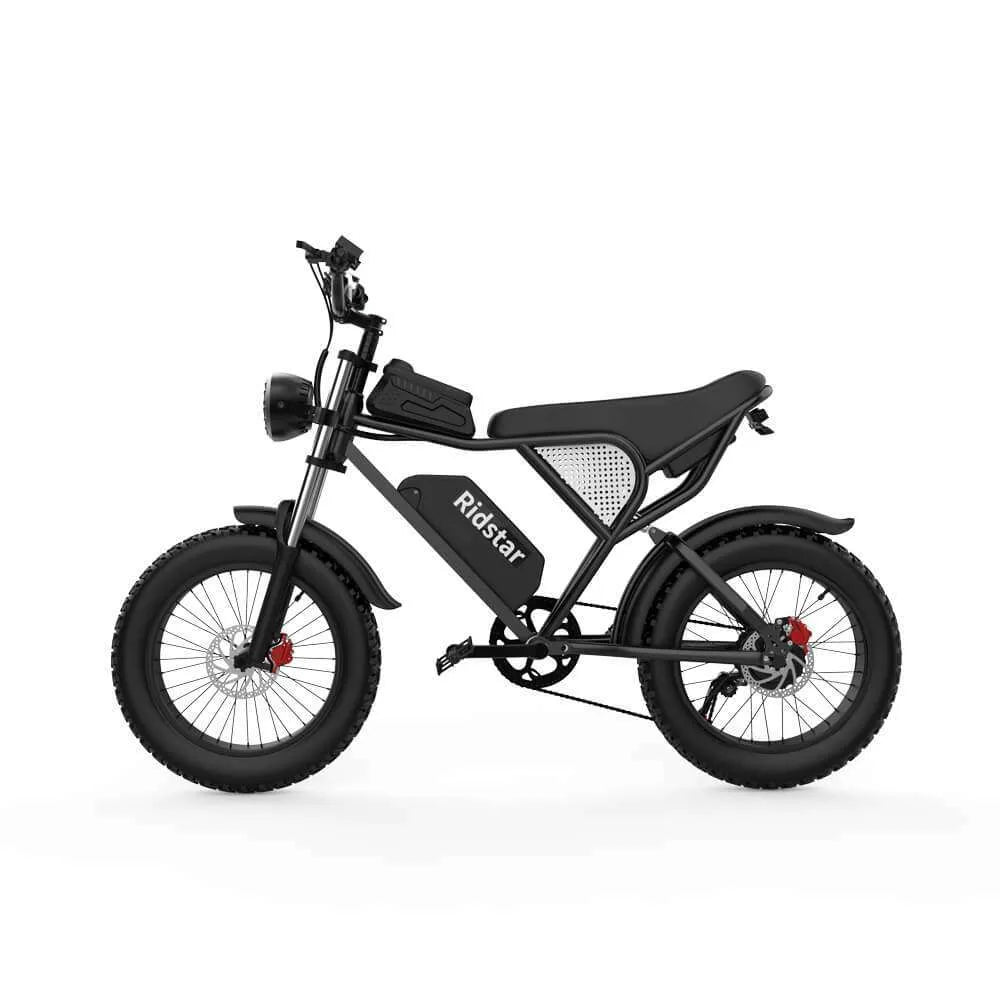 Ridstar Q20 Electric Bike | 1500W Peak Motor, 48V 20Ah Battery, 20" Fat Tire Ebike for Adults