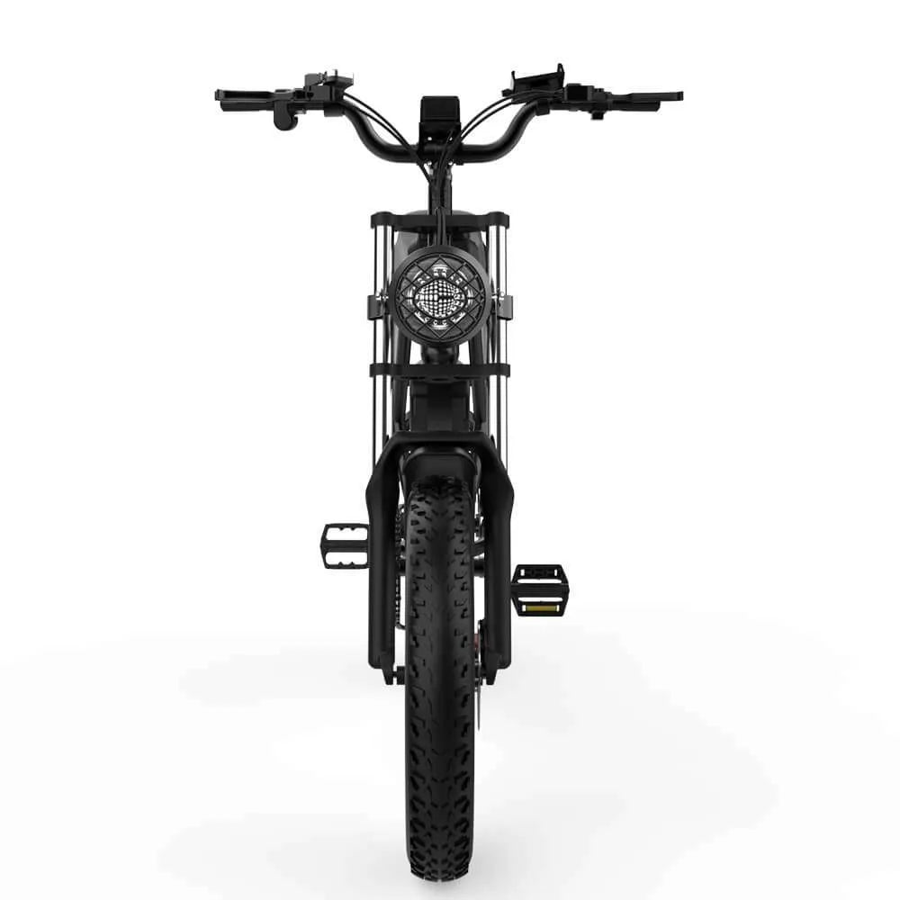 Ridstar Q20 Electric Bike | 1500W Peak Motor, 48V 20Ah Battery, 20" Fat Tire Ebike for Adults