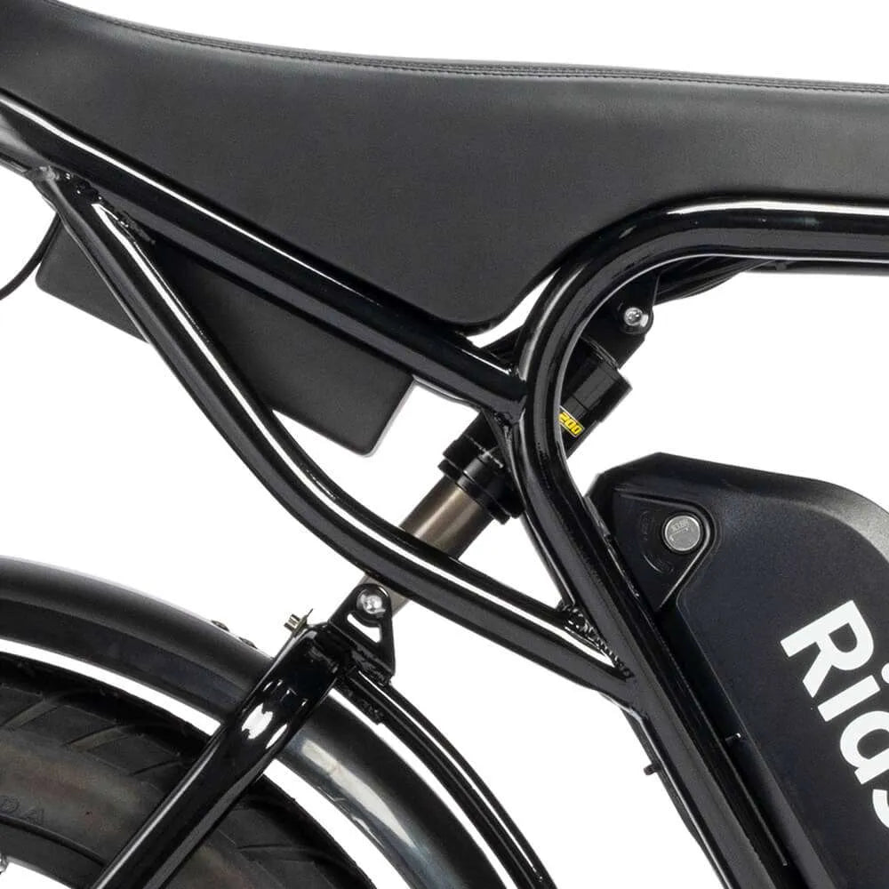 Ridstar Q20 Electric Bike | 1500W Peak Motor, 48V 20Ah Battery, 20" Fat Tire Ebike for Adults