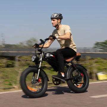 PVY Z20 Plus Folding Ebike