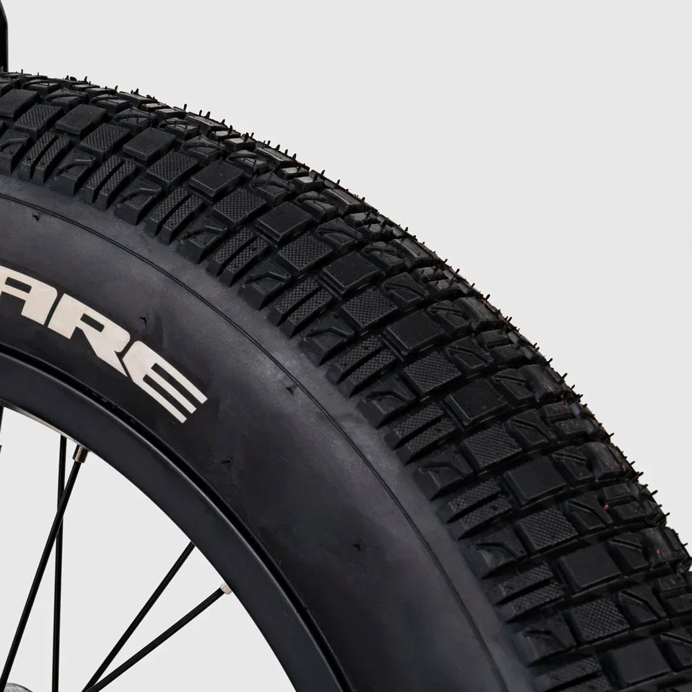 FUCARE Gemini 20" Step-Thru Electric Cargo Bike 750W Motor 48V 15Ah Dual Batteries