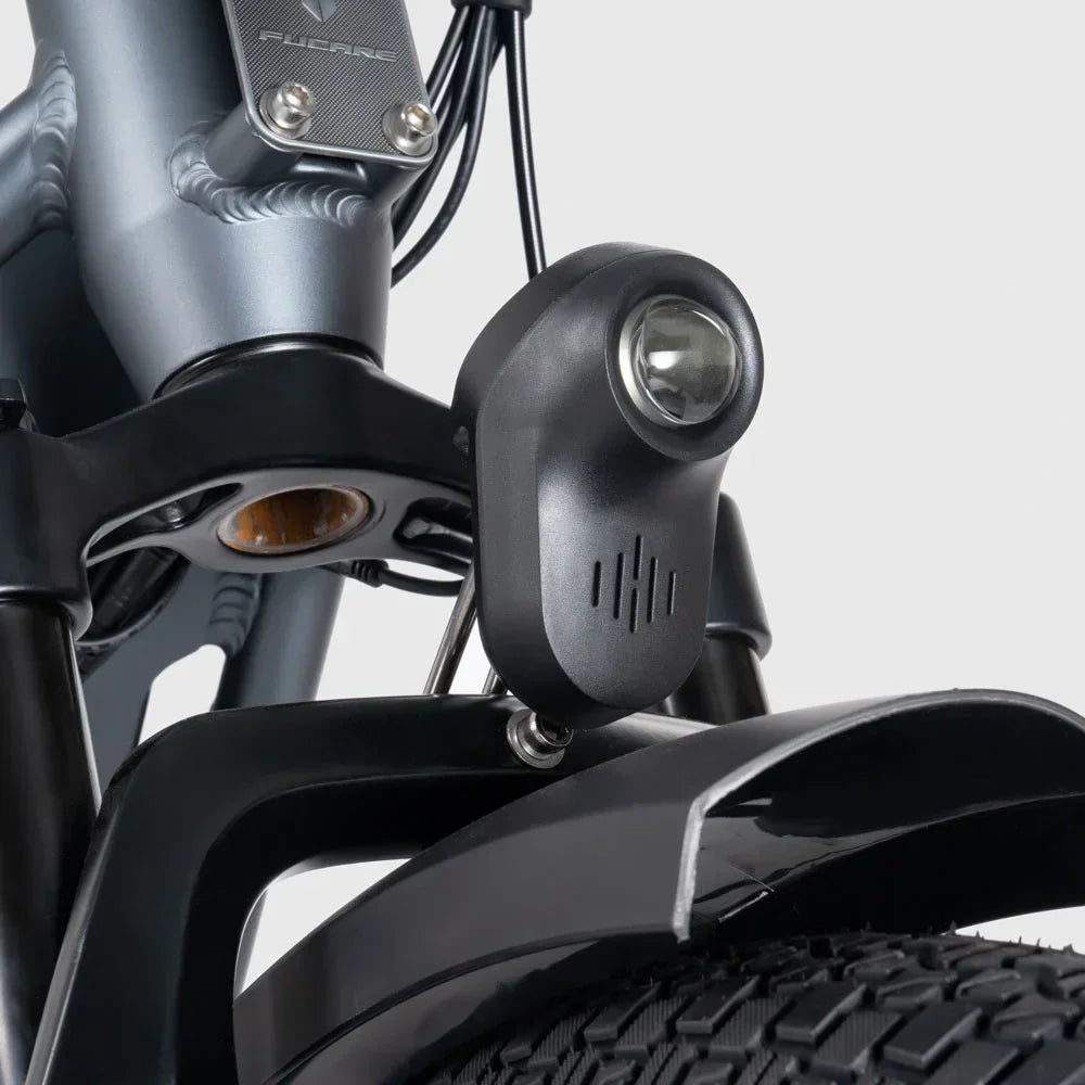 FUCARE Gemini 20" Step-Thru Electric Cargo Bike 750W Motor 48V 15Ah Dual Batteries