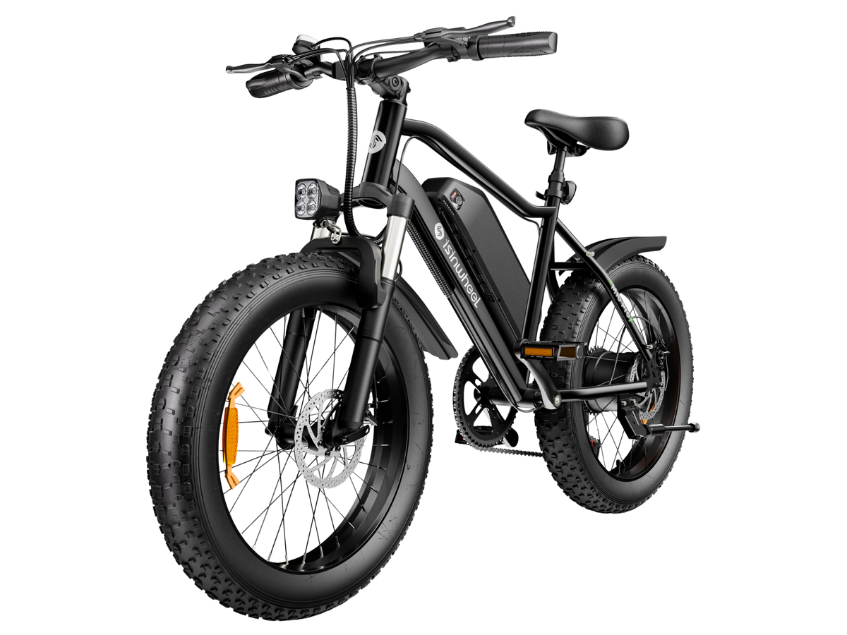 ISINWHEEL M10Pro