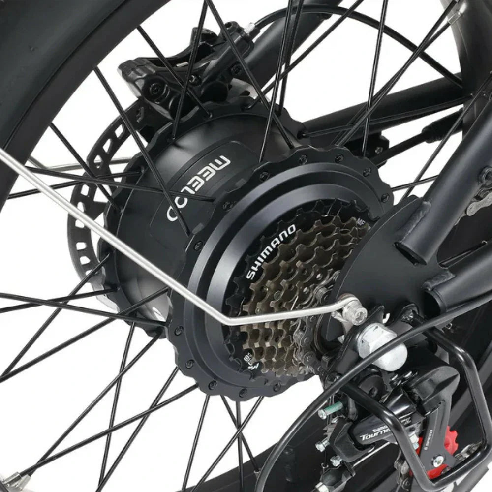 MEELOD DK300 MAX 20" Retro Moped Style Electric Bike 1200W Peak Dual Motors 48V 20Ah Dual Batteries