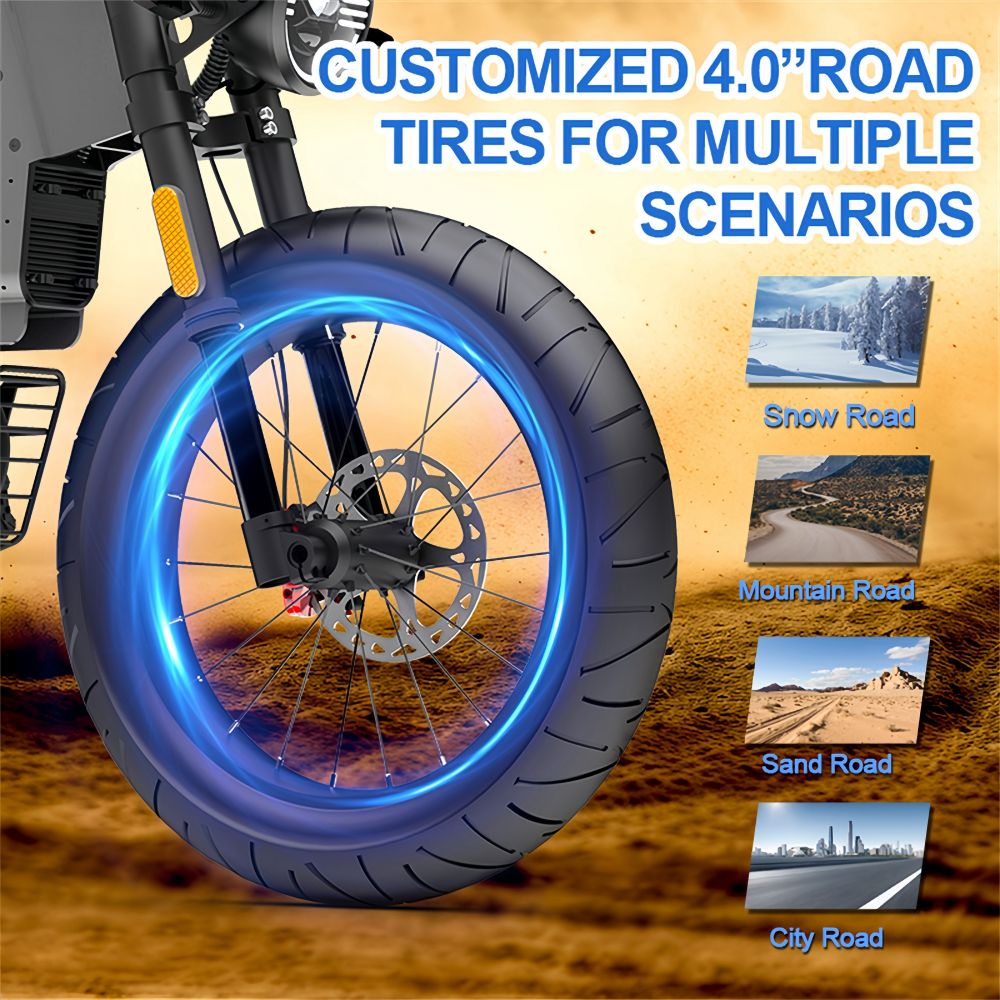 NEXXBIKE X5 Plus 20" Fat Tires Electric Dirt Bike 1000W Motor 48V 25Ah Samsung Battery With NFC Key