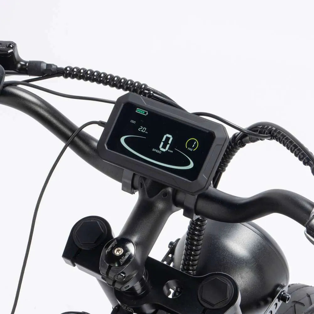 YVY C20 Max 2000W Dual Motor Fat Tire Electric Bike | 20" All-Terrain E-Bike
