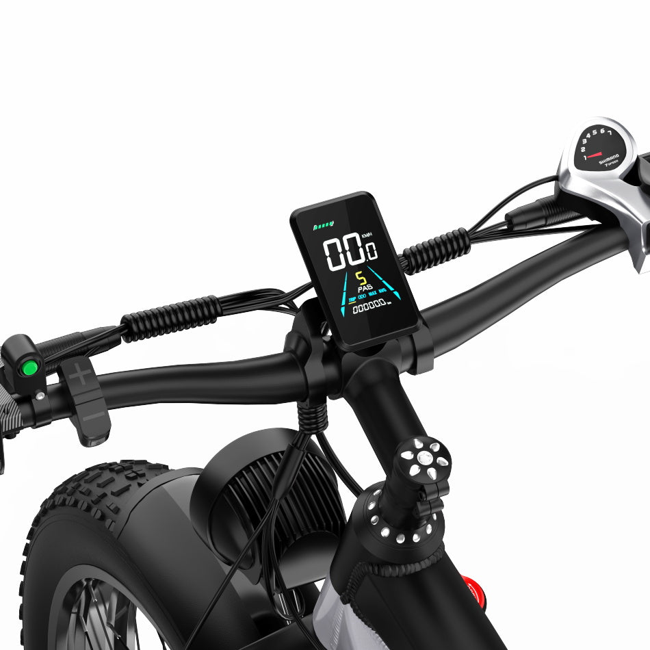 DUOTTS F26 26" Electric Mountain Bike 750W*2 Motors 48V 20Ah Battery