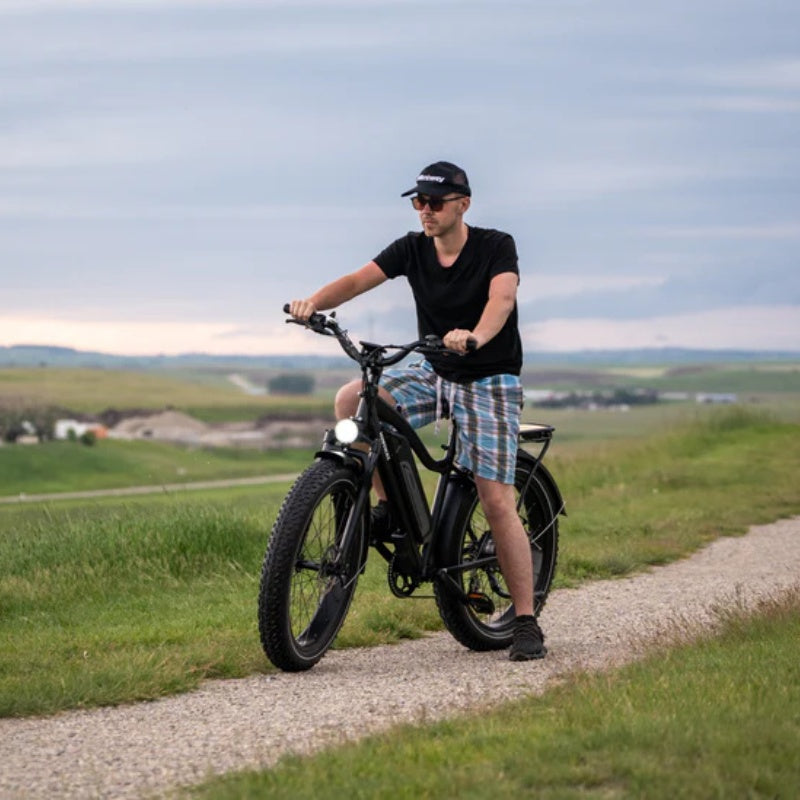 HIMIWAY D3 (Cruiser) Bici elettrica Fat Tire a lunga autonomia da 26", motore da 750 W, batteria da 48 V e 15 Ah