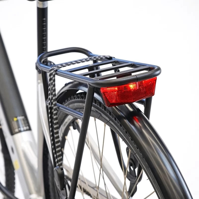 Luchia Arturo electric city bicycle, 250W engine, 36V 10AH battery