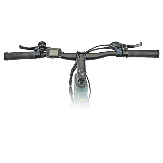 Luchia Atria tyre road electric bicycle 250W motor 36V 10Ah battery