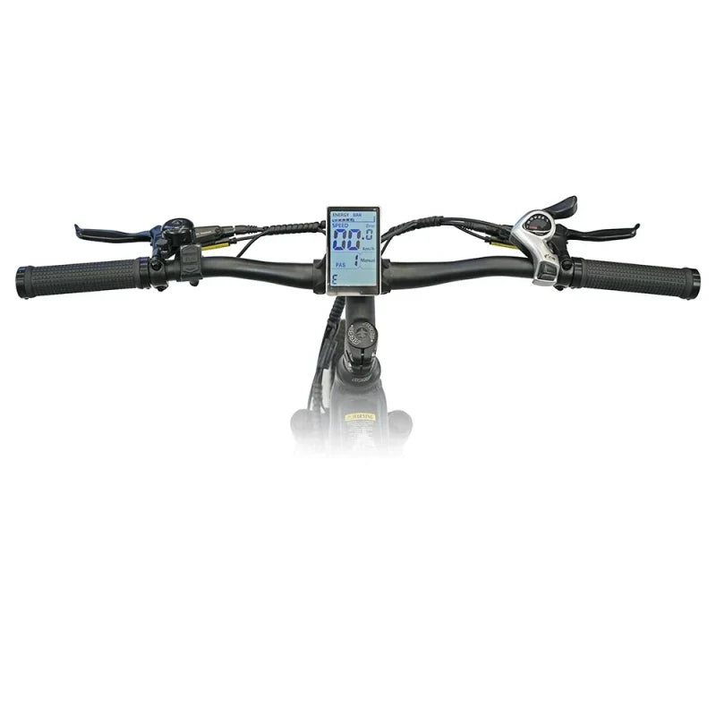 Luchia Spica electric mountain bike, 250W engine, 36V 10AH battery