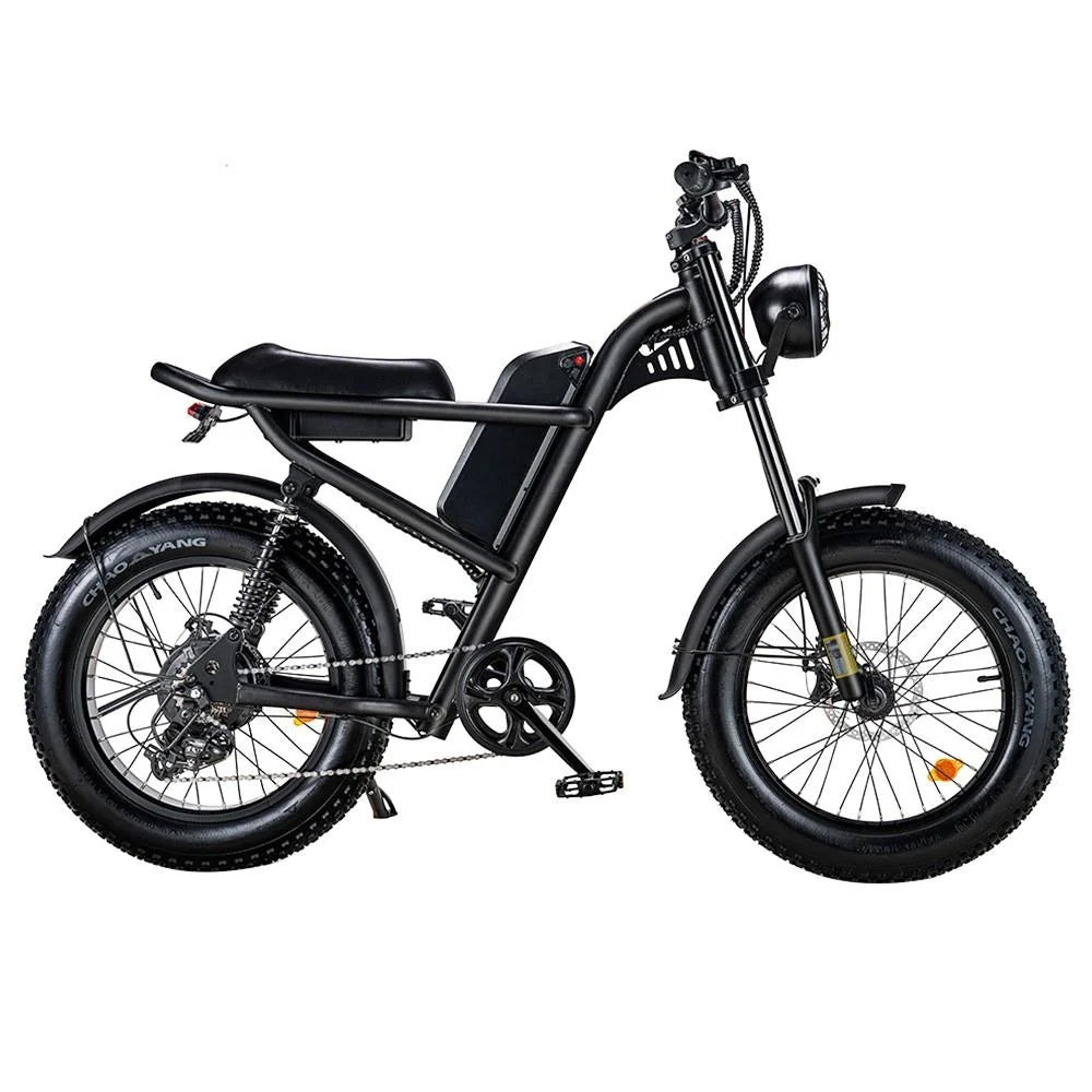 RIDING'TIMES 20" Fat Tires All-Terrain Electric Bike 500W Motor 48V 15Ah Battery