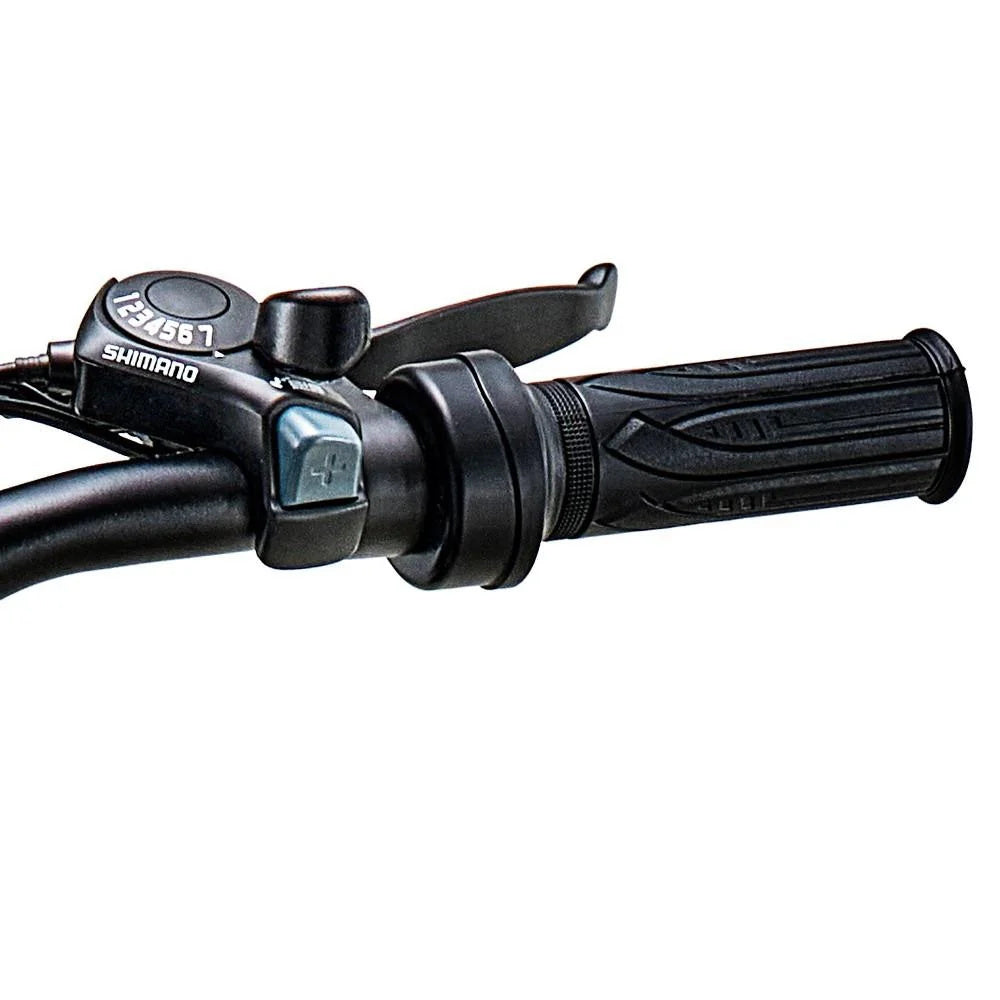 RIDING'TIMES 20" Fat Tires All-Terrain Electric Bike 500W Motor 48V 15Ah Battery