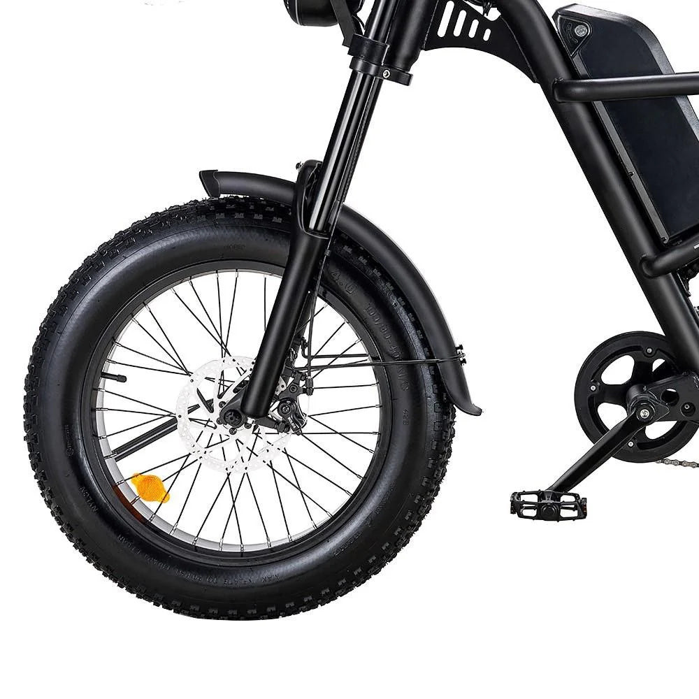 RIDING'TIMES 20" Fat Tires All-Terrain Electric Bike 500W Motor 48V 15Ah Battery