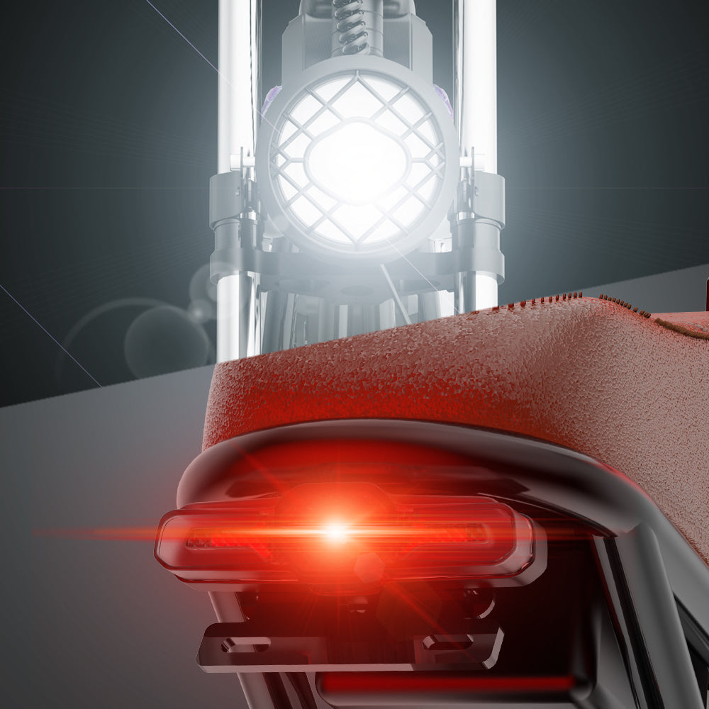 Ridstar Q20 large electric bicycle tires, 1000W motor, 48V 20Ah battery