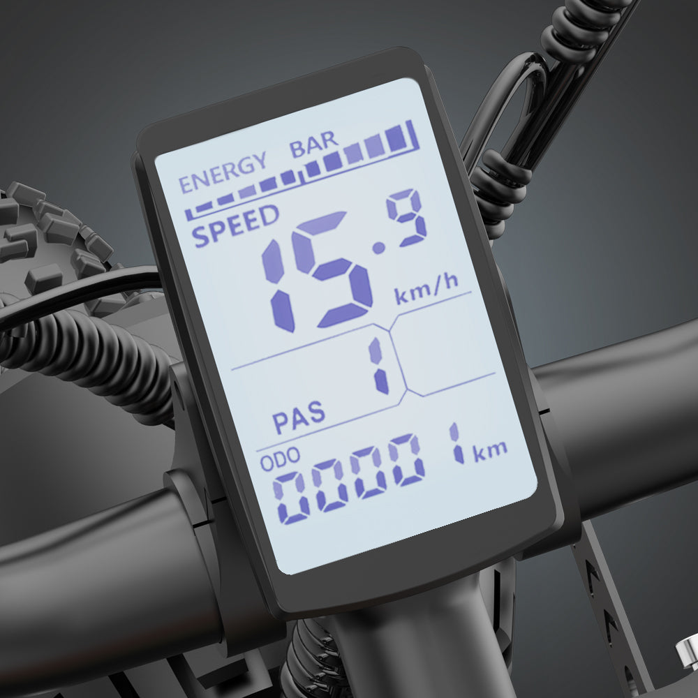 Ridstar Q20 large electric bicycle tires, 1000W motor, 48V 20Ah battery