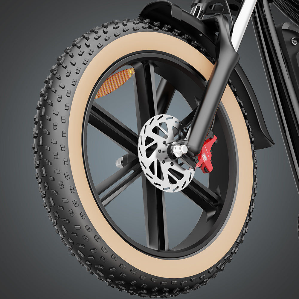 Ridstar Q20 large electric bicycle tires, 1000W motor, 48V 20Ah battery