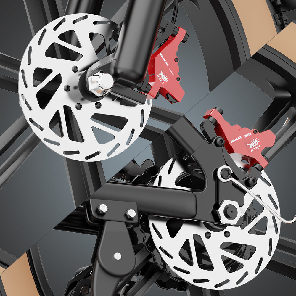 Ridstar Q20 large electric bicycle tires, 1000W motor, 48V 20Ah battery