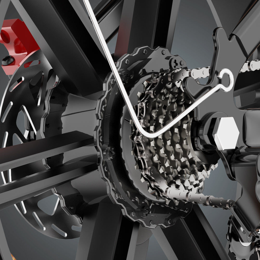 Ridstar Q20 large electric bicycle tires, 1000W motor, 48V 20Ah battery